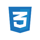 CSS