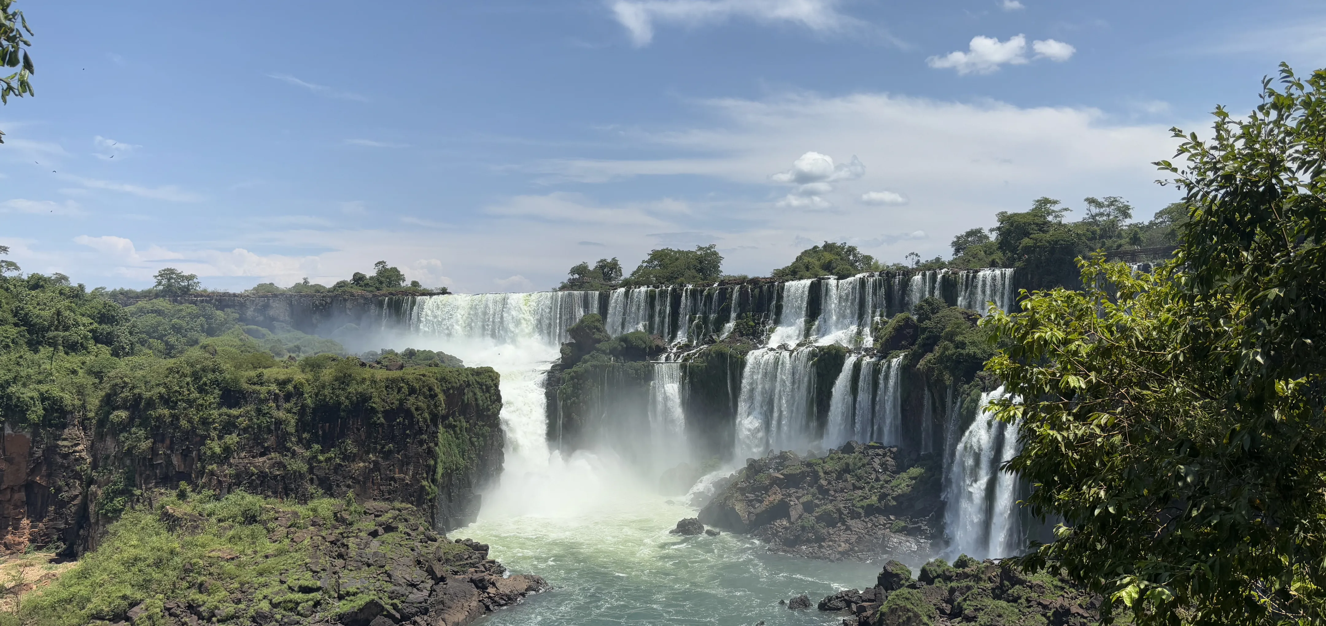 本間裕子のポートフォリオ